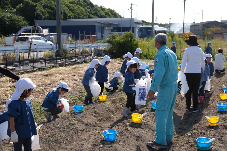 Part32「ひめかんエコファームにてさつまいも堀り体験実施」の写真